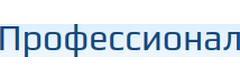 Профессионал