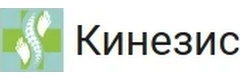 Кинезис