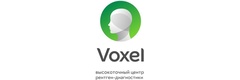 Voxel