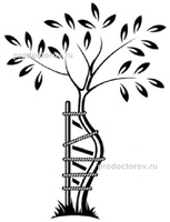 Центр профессора Аршина