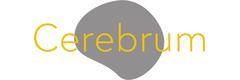 Cerebrum