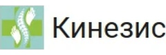 Кинезис