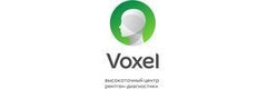 Воксель