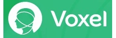 Voxel