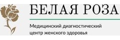 Белая роза