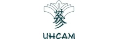 Инсам