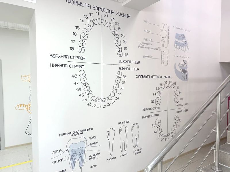 Фото клиники 6