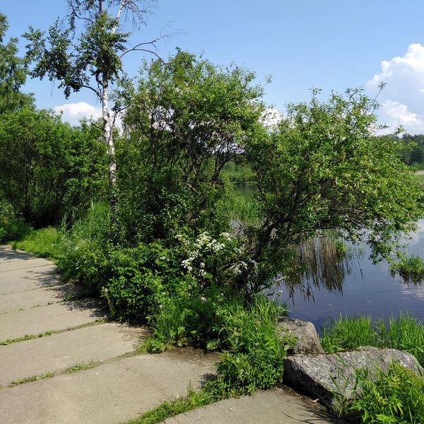 Фото клиники 5