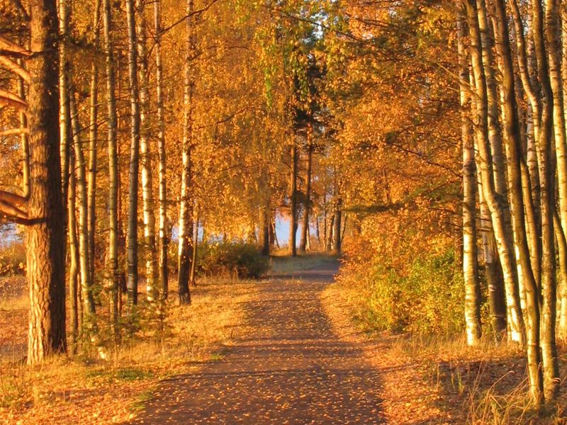 Фото клиники 9