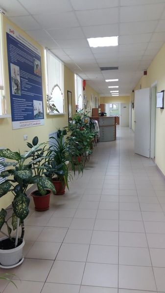 Фото клиники 12