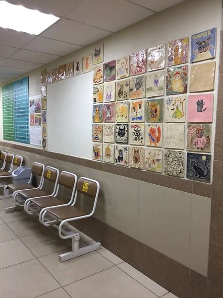 Фото клиники 6