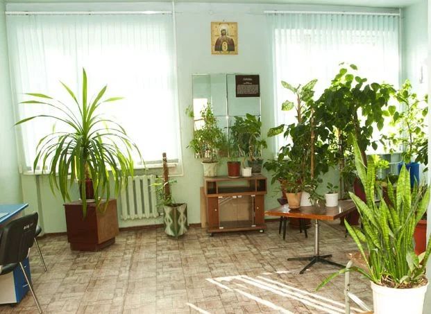 Фото клиники 2