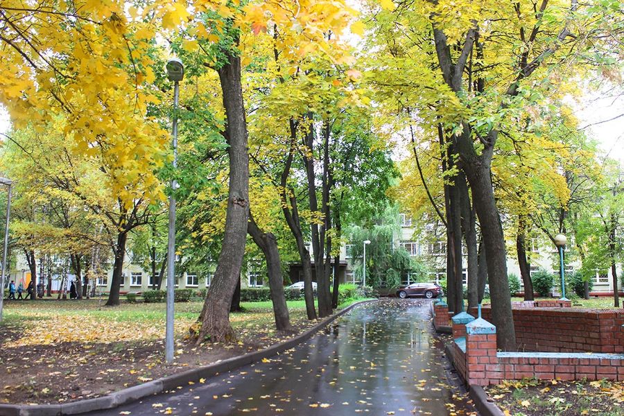 Фото клиники 25