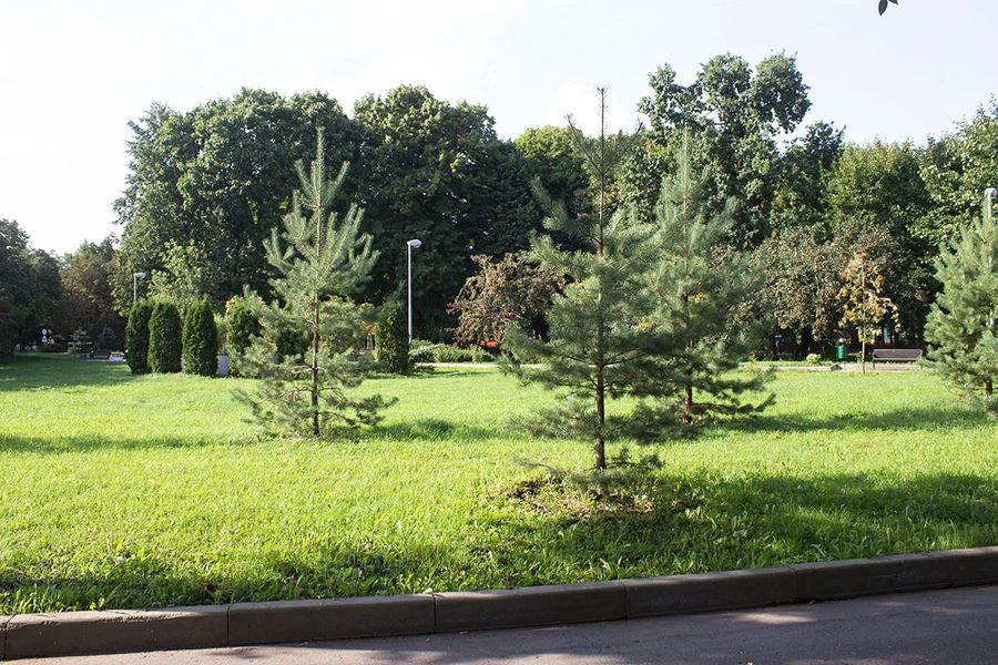 Фото клиники 10