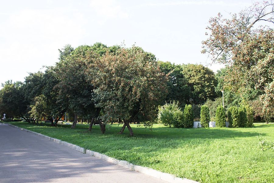 Фото клиники 12