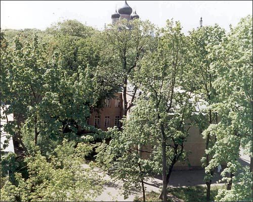 Фото клиники 1