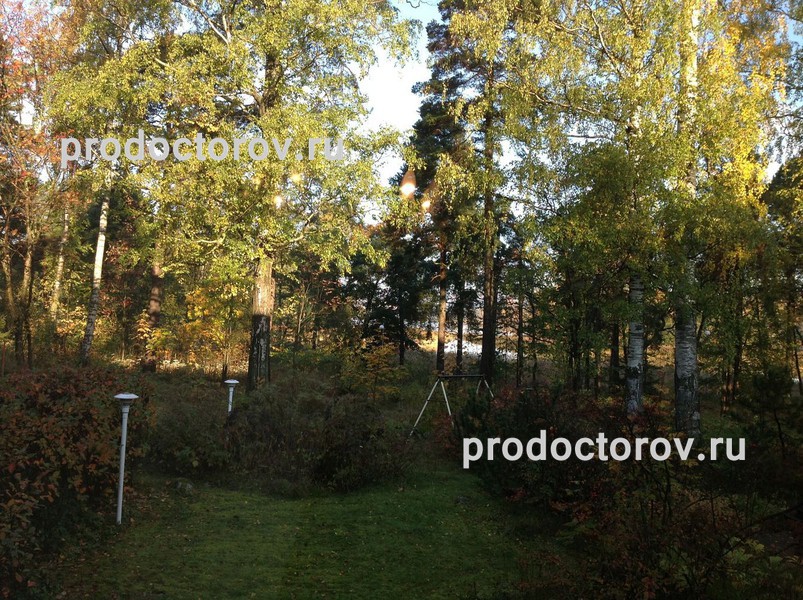 Фото клиники 6