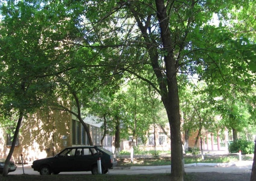 Фото клиники 1