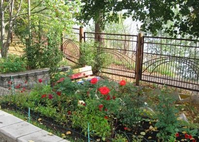 Фото клиники 1