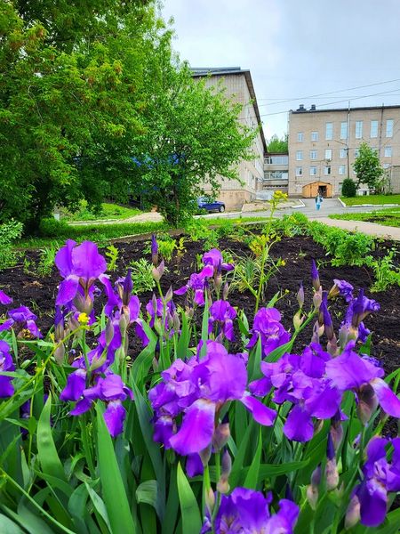 Фото клиники 1