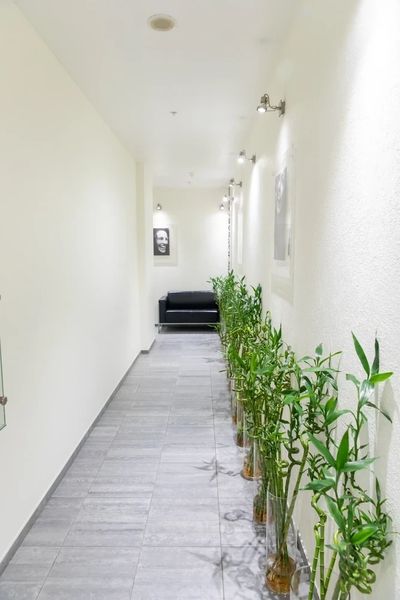 Фото клиники 10