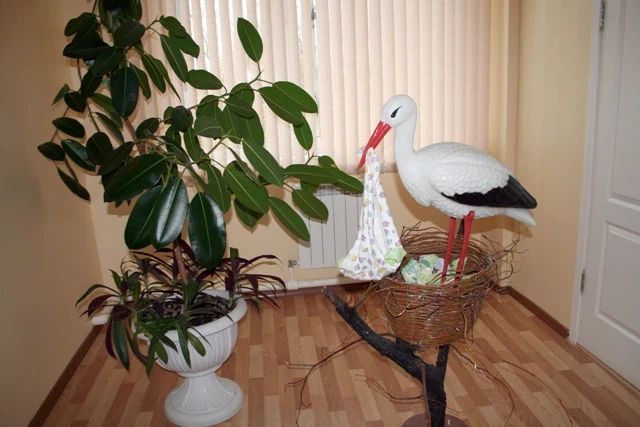 Фото клиники 1