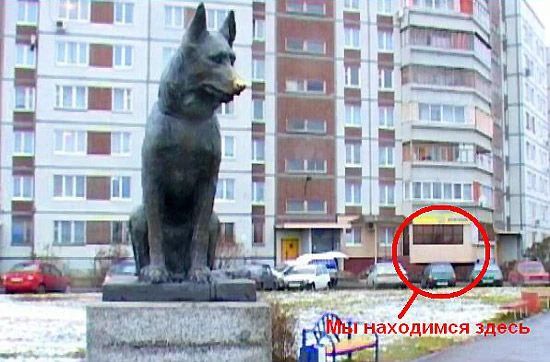 Фото клиники 1