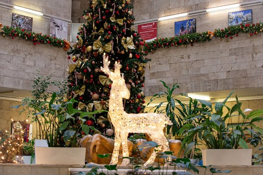 Фото клиники 7