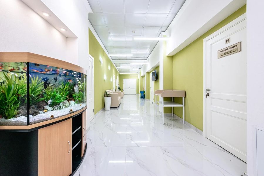 Фото клиники 6