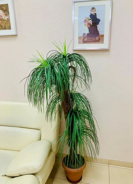 Фото клиники 16