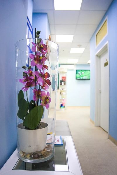 Фото клиники 5
