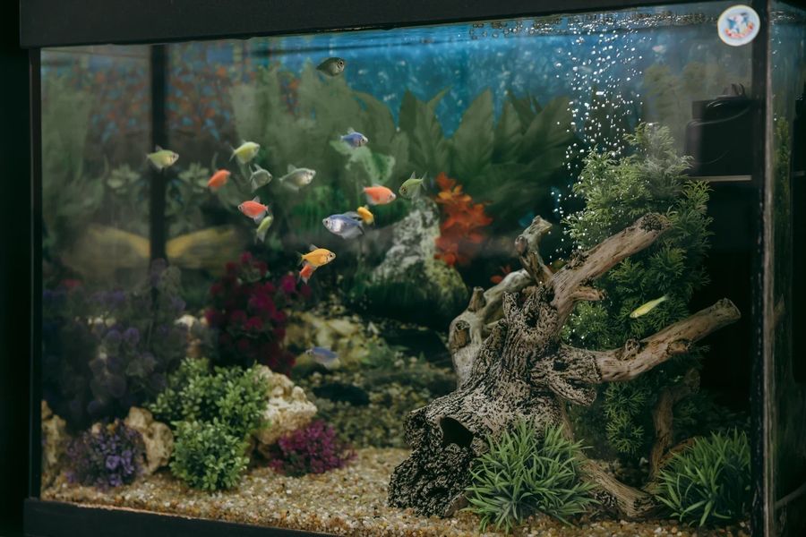 Фото клиники 8