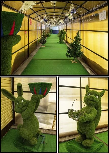 Фото клиники 5