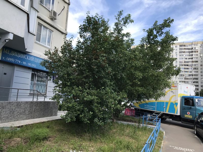 Фото клиники 1