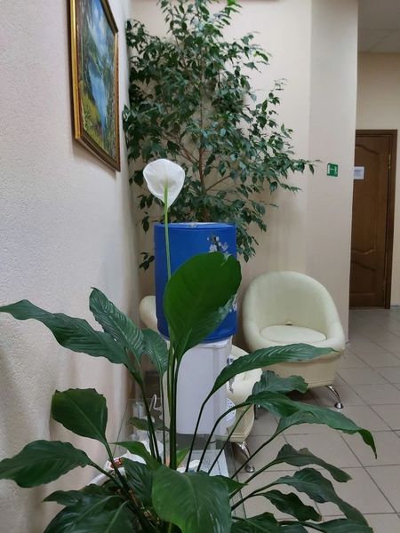 Фото клиники 3