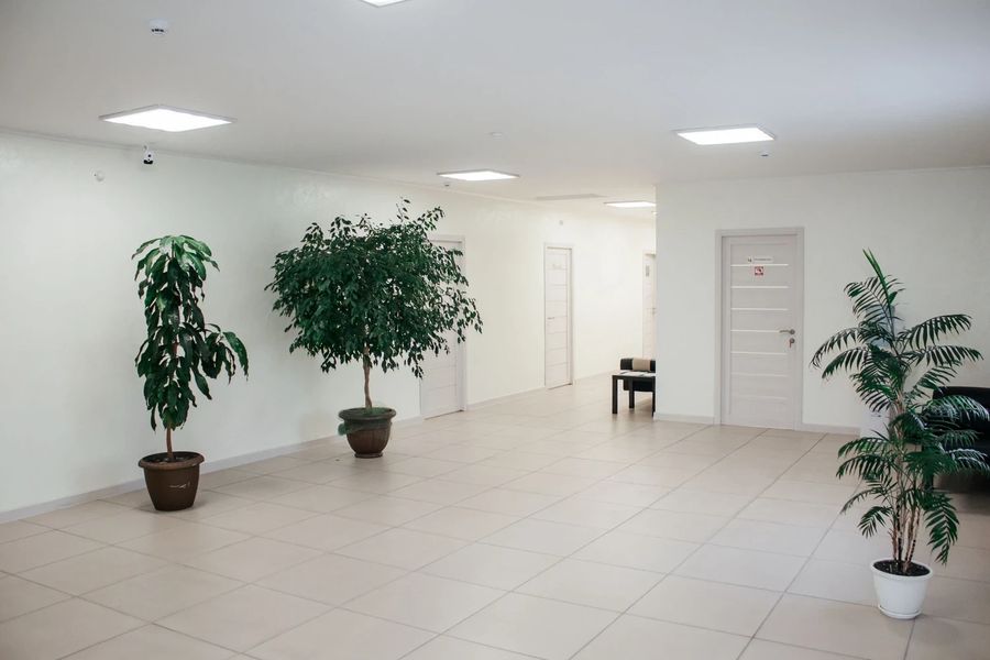 Фото клиники 3