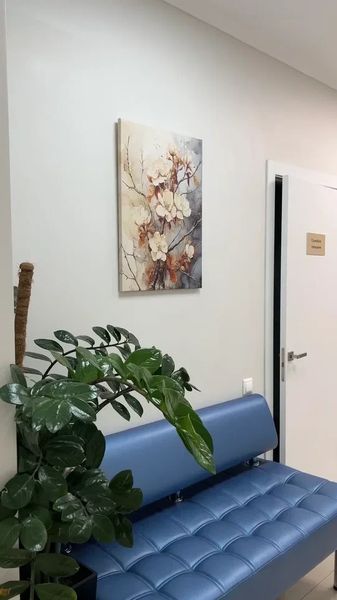 Фото клиники 12