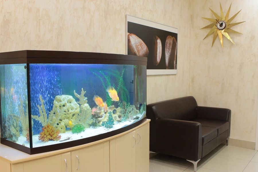 Фото клиники 3