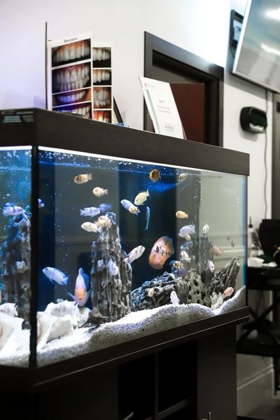 Фото клиники 4