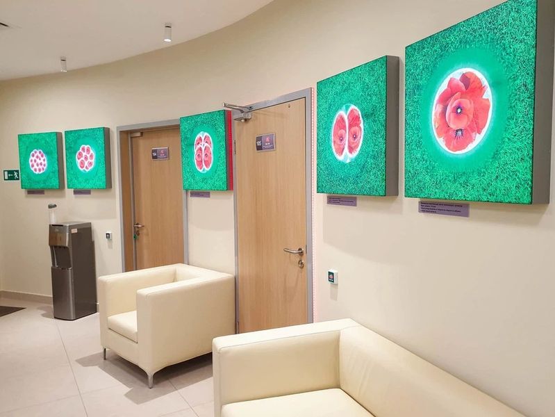 Фото клиники 3