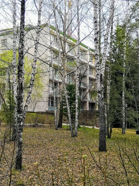 Фото клиники 1