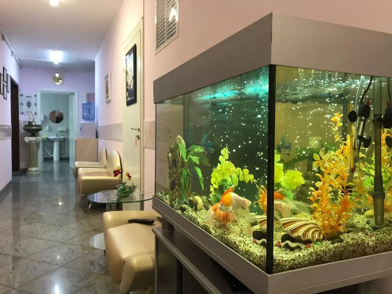 Фото клиники 5