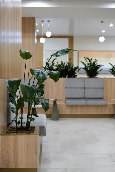 Фото клиники 17