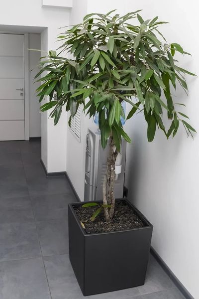 Фото клиники 9