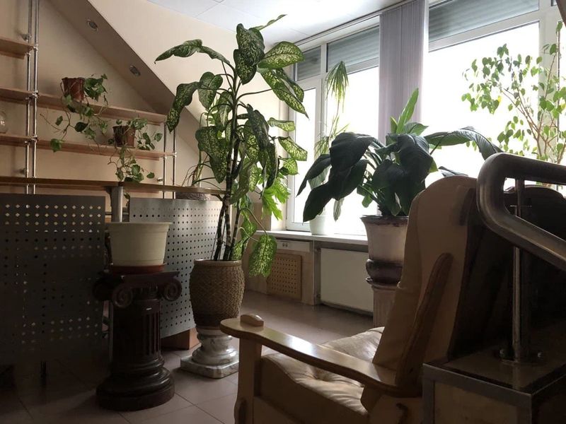 Фото клиники 4