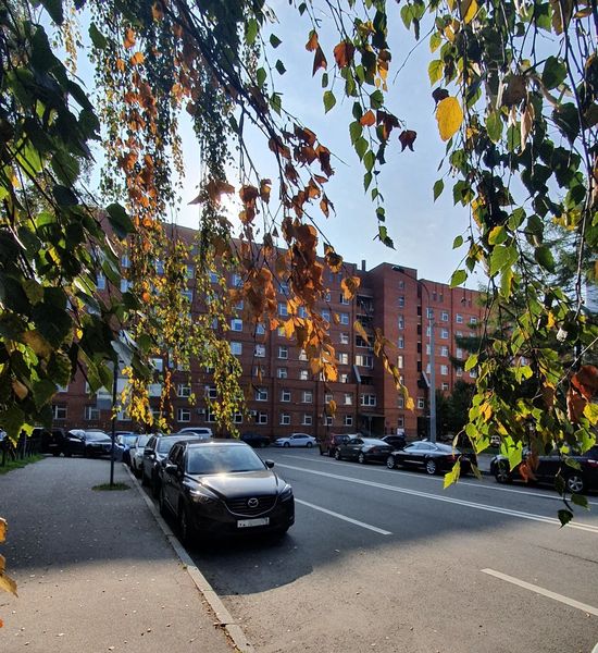 Фото клиники 1