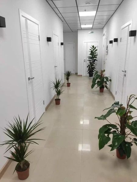 Фото клиники 14