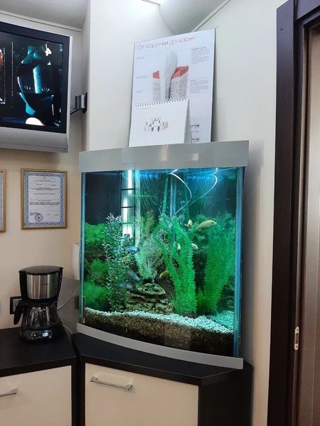 Фото клиники 4