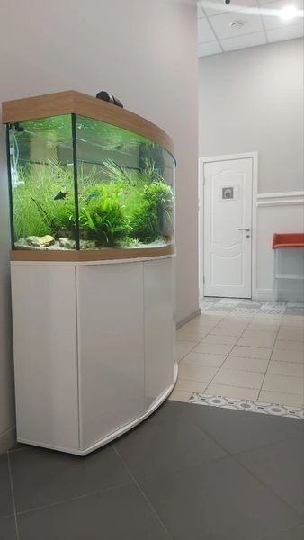 Фото клиники 6