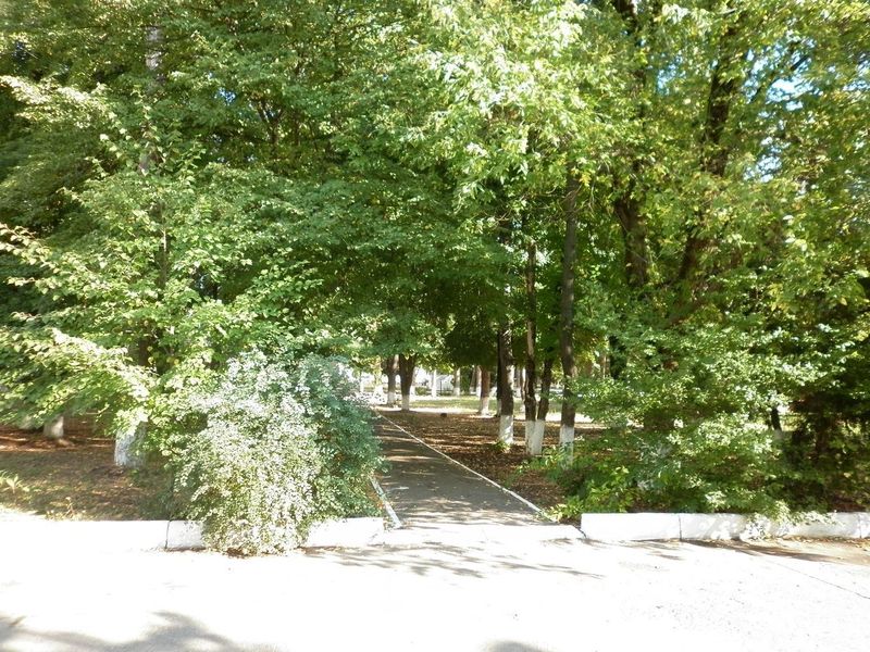 Фото клиники 5